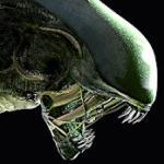 Alien Blackout indir – Korku Oyunu