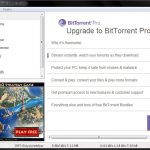 BitTorrent