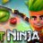 Fruit Ninja Lite