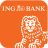 ING Mobil indir