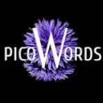 PicoWords Apk indir