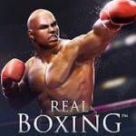 Real Boxing