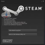 Steam (Windows)