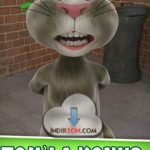 Talking Tom Cat Android indir