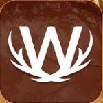 Word Wild Apk indir