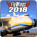 FlyWings 2018