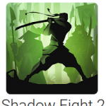 Shadow Fight 2 indir