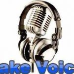 Fake Voice