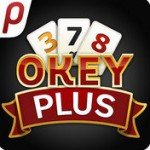 Okey Plus Apk indir